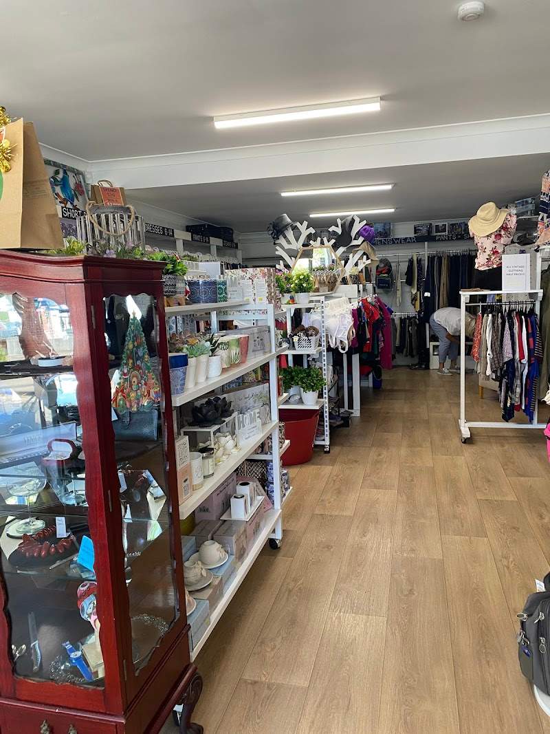 Check out Lifeline Shop Pacific Paradise in Pacific Paradise