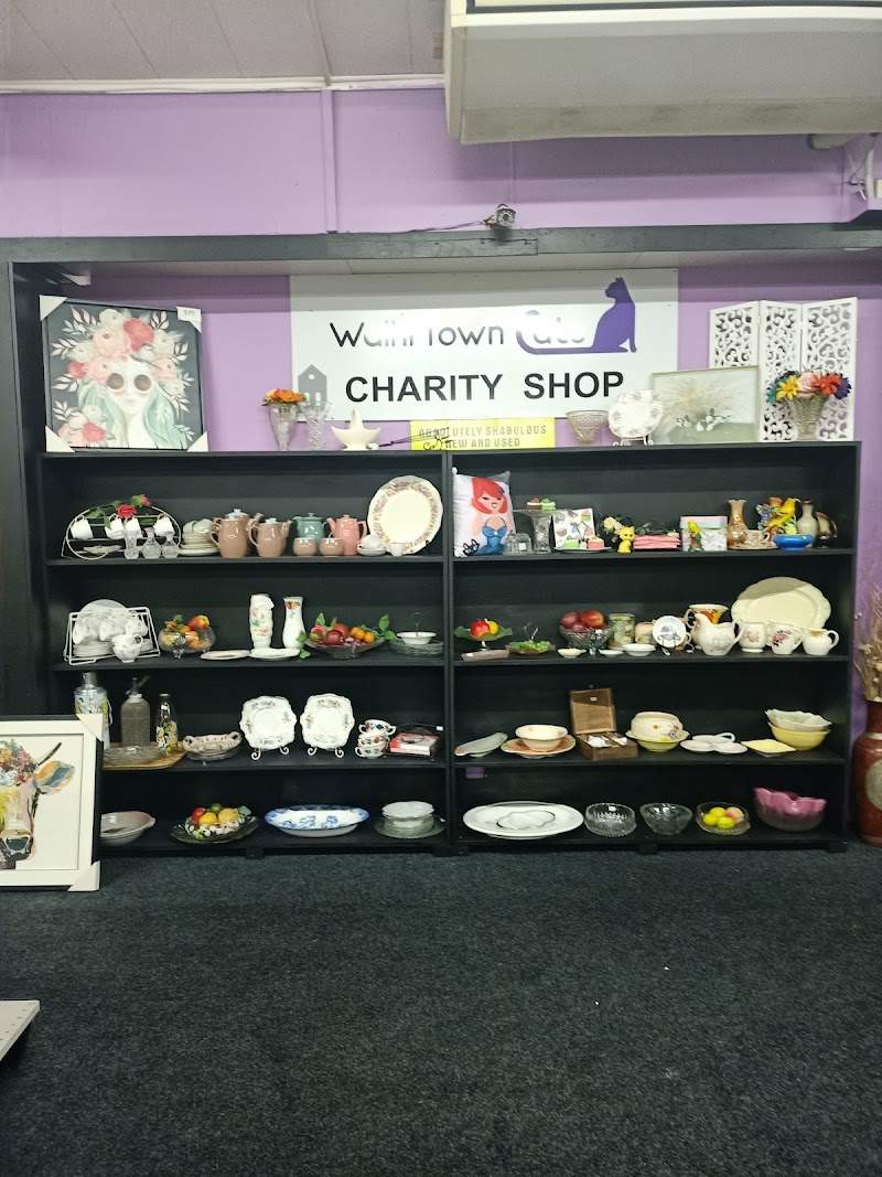 Check out Waihi Town Cats Charity Shop in Waihi