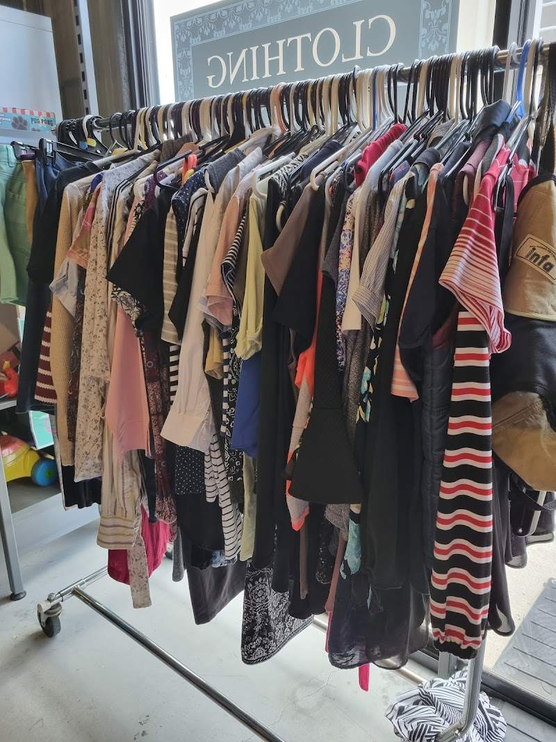Check out Silky Oaks Op Shop in Manly West