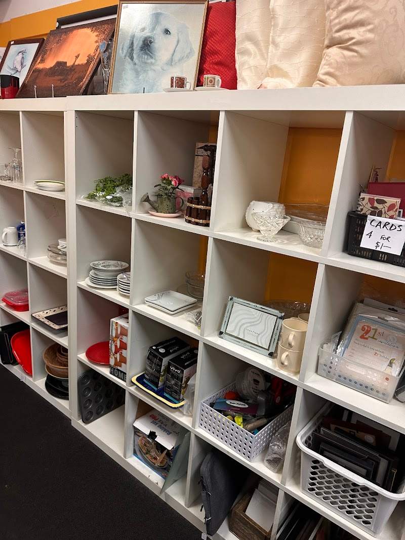 Check out Red Cross Shop Albany in ALBANY