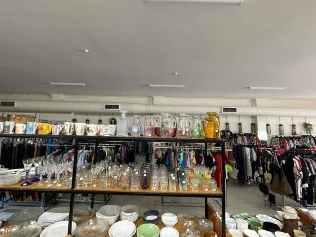 Check out Lifeline Shop Ingham in Ingham