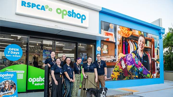 RSPCA Op Shop Indooroopilly — opening hours