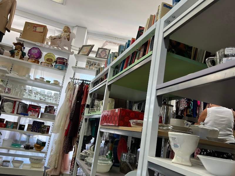 Check out Vinnies Annerley in Annerley