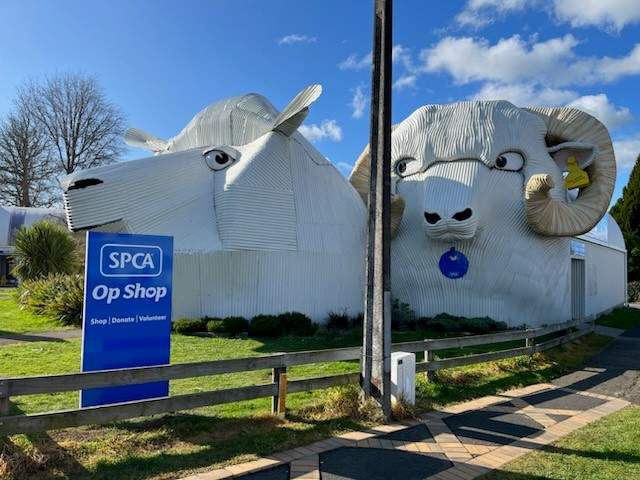 Check out SPCA Op Shop Tirau in Tīrau