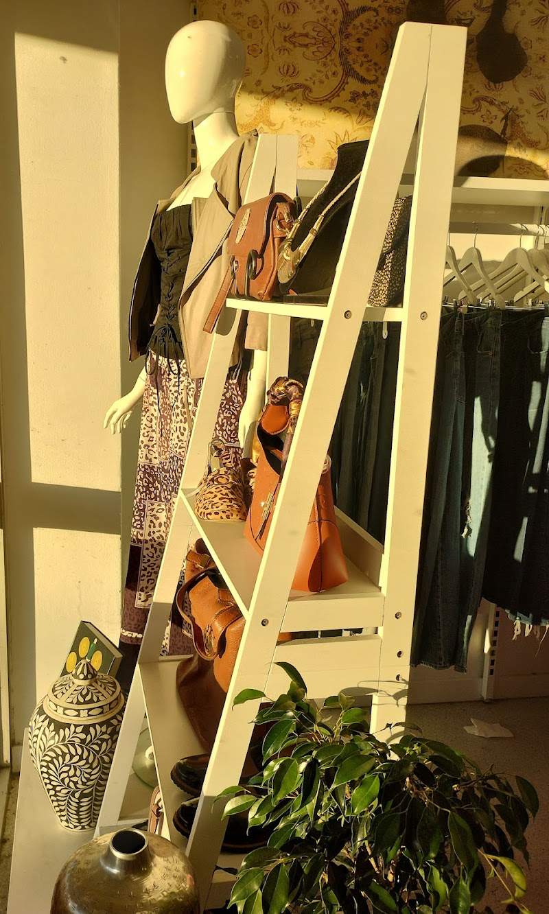Check out Salvos Stores Morningside in MORNINGSIDE