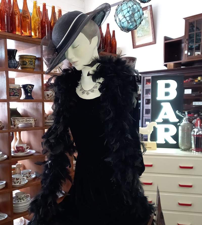 Check out Ohaupo Antiques (Collectamania) in Ōhaupō