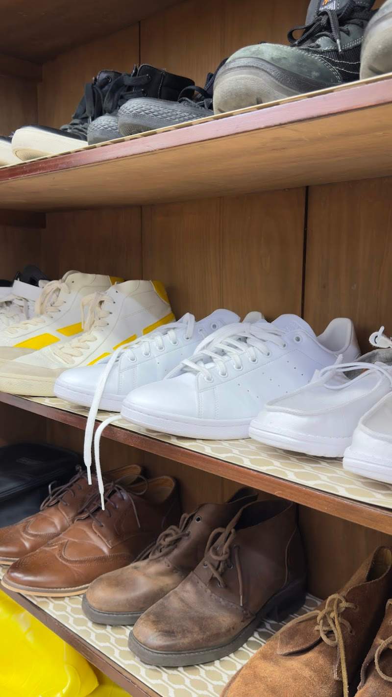 Check out Lifeline Shop Bondi in Bondi