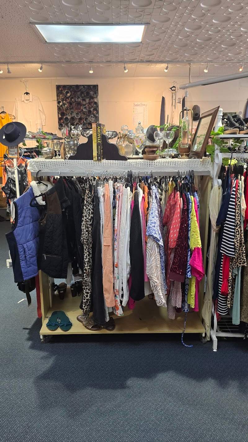 Check out HUHA Op Shop Carterton in Carterton
