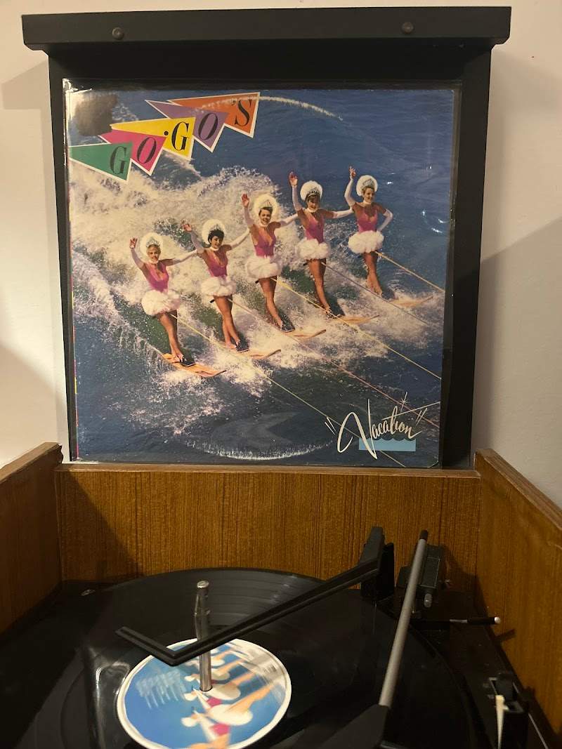 Check out Dutch Vinyl in Abbotsford
