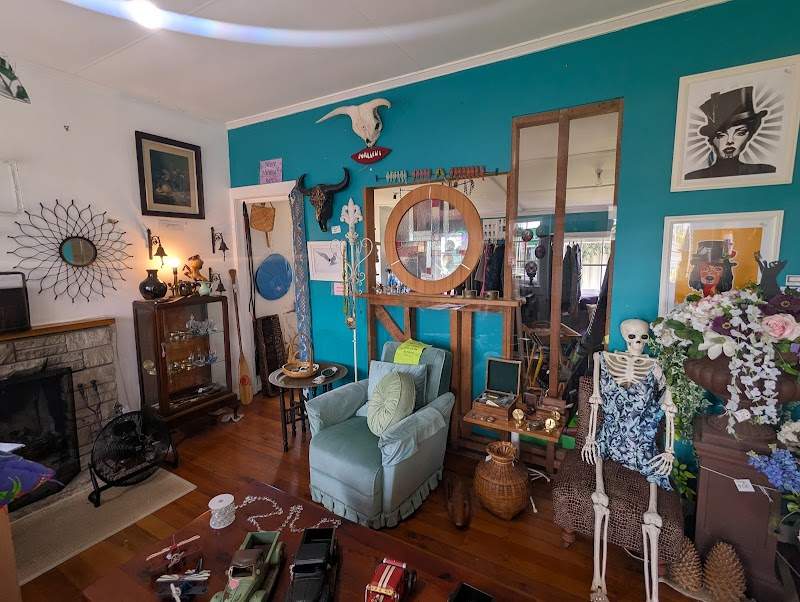 Check out Dragonfly in Kerikeri