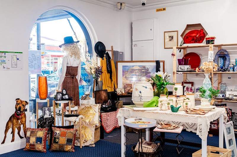Check out RSPCA SA Norwood Op Shop in Norwood