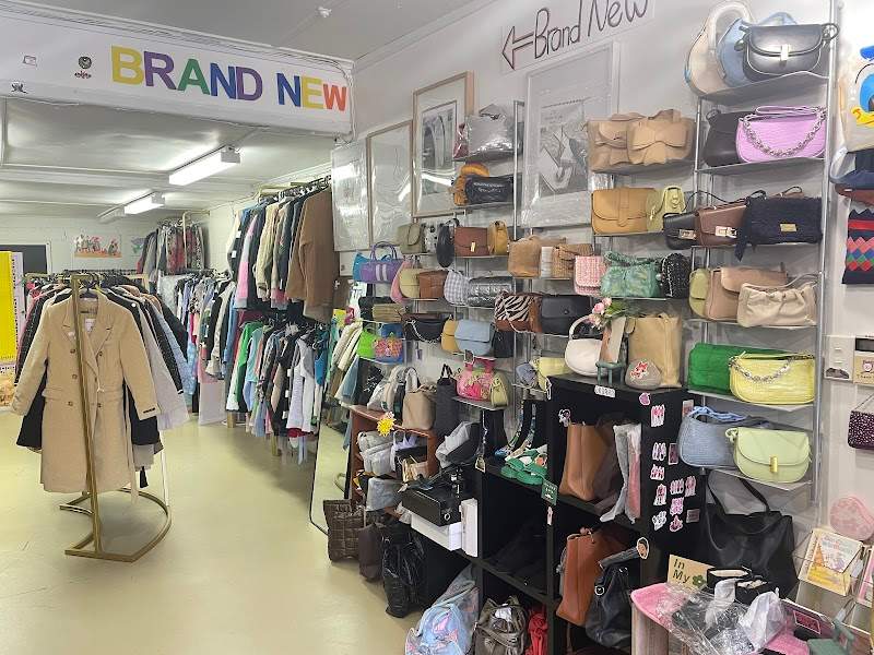 Check out The liquidation Studio in Mairehau