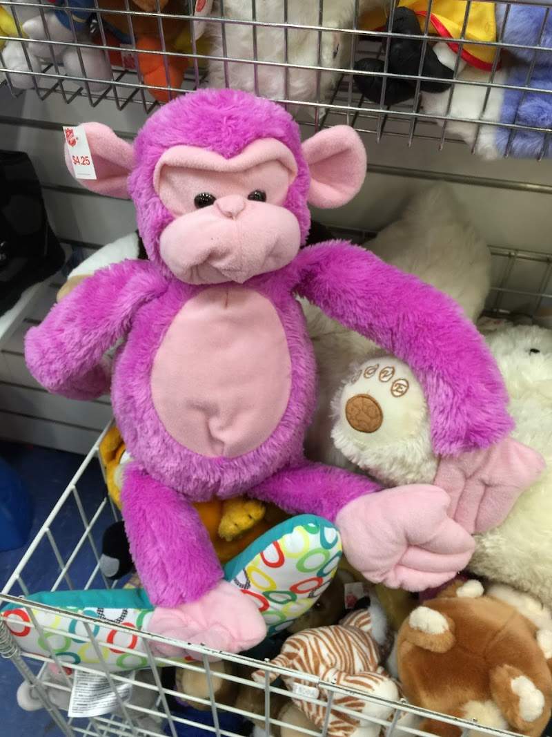 Check out Salvos Stores Belmont in BELMONT