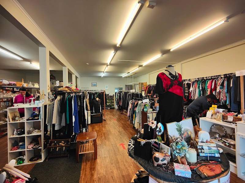 Check out OASIS OP SHOP in Tauranga