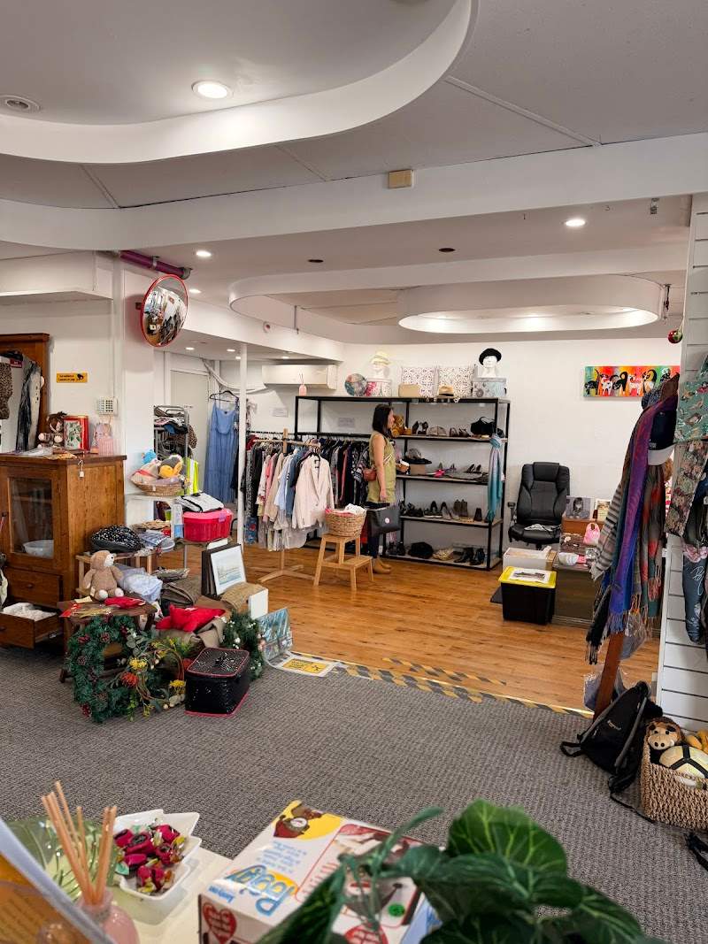 Check out BMD – Blue Mountains & Districts Cat Welfare Group Inc. Op Shop Katoomba in Katoomba
