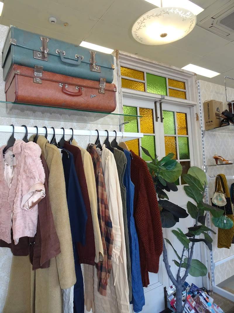 Check out Lifeline Shop Carseldine in Carseldine