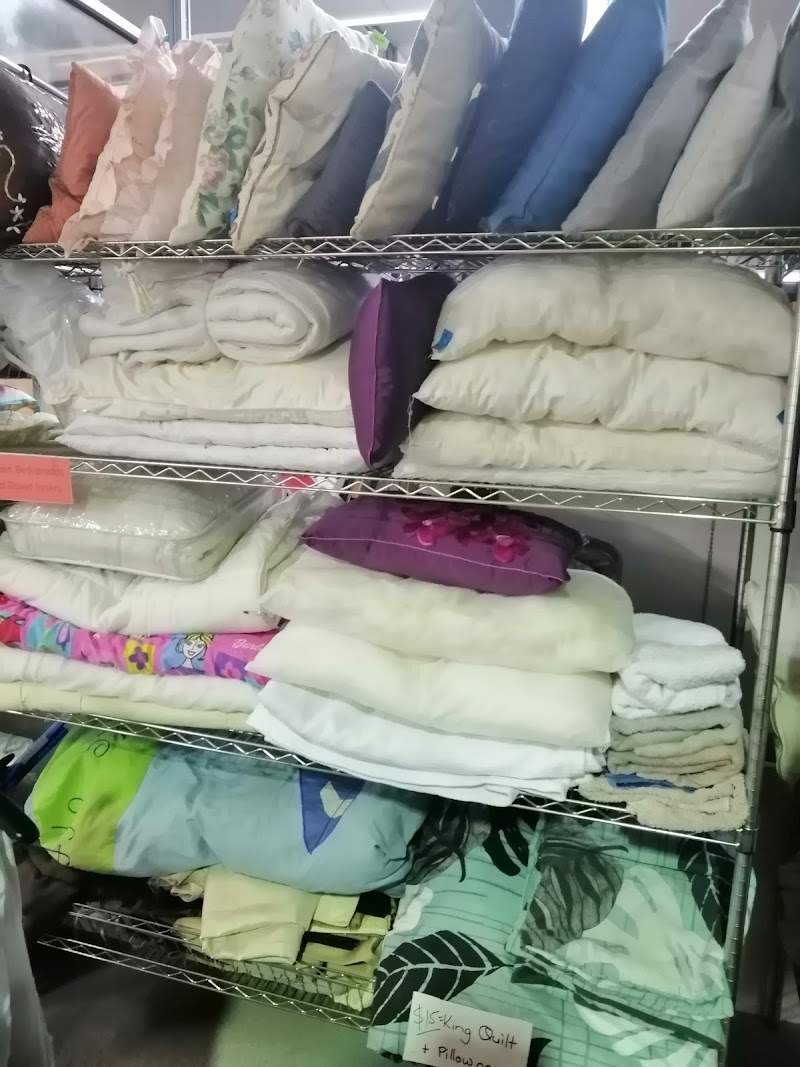 Check out Care Animal Rescue Op Shop Taupo in Taupō