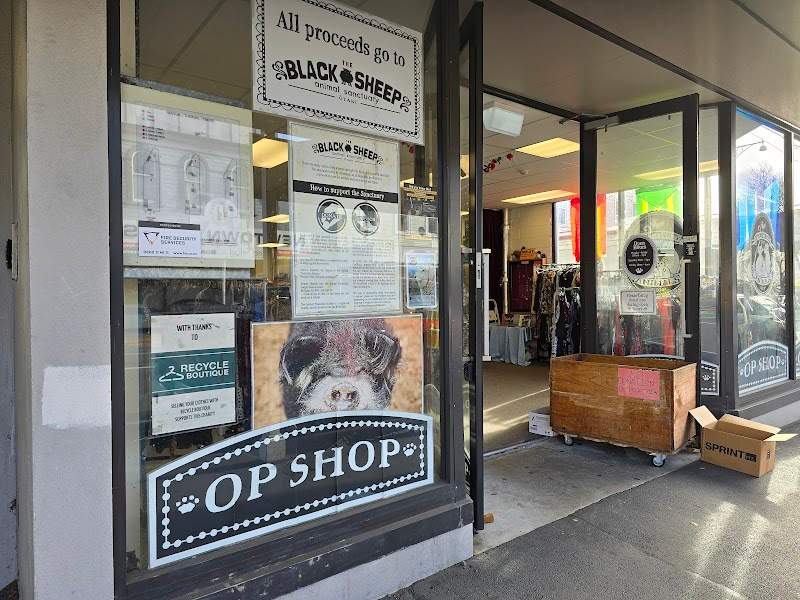 Check out Opportunity for Animals in Newtown