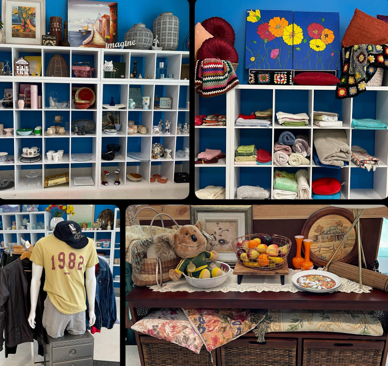 Check out Lifeline Shop East Maitland in East Maitland