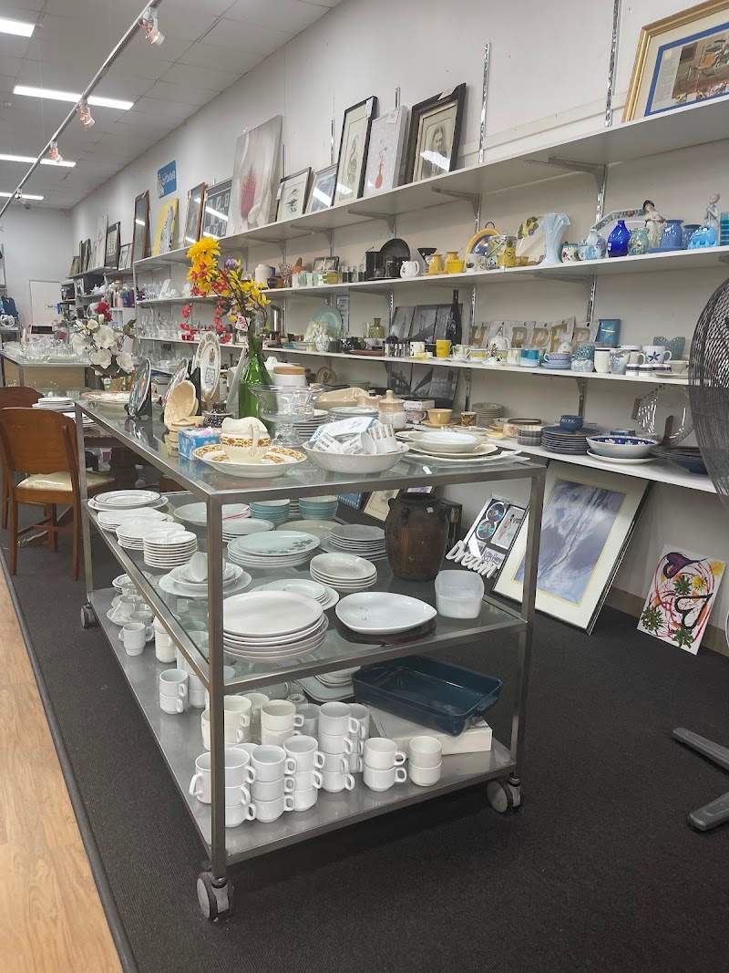 Check out RSPCA Op Shop Stones Corner in Stones Corner