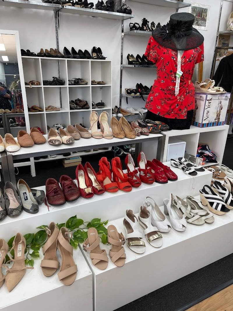 Check out RSPCA Op Shop Stones Corner in Stones Corner