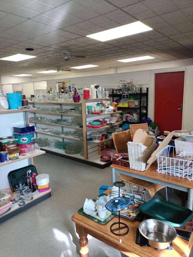 Check out Tauranga Family Store in Tauranga