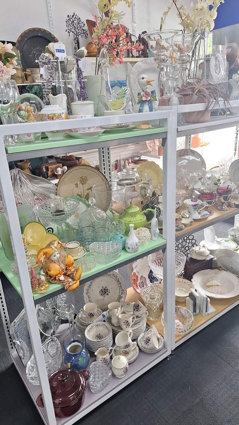Check out Vinnies Mont Albert in MONT ALBERT