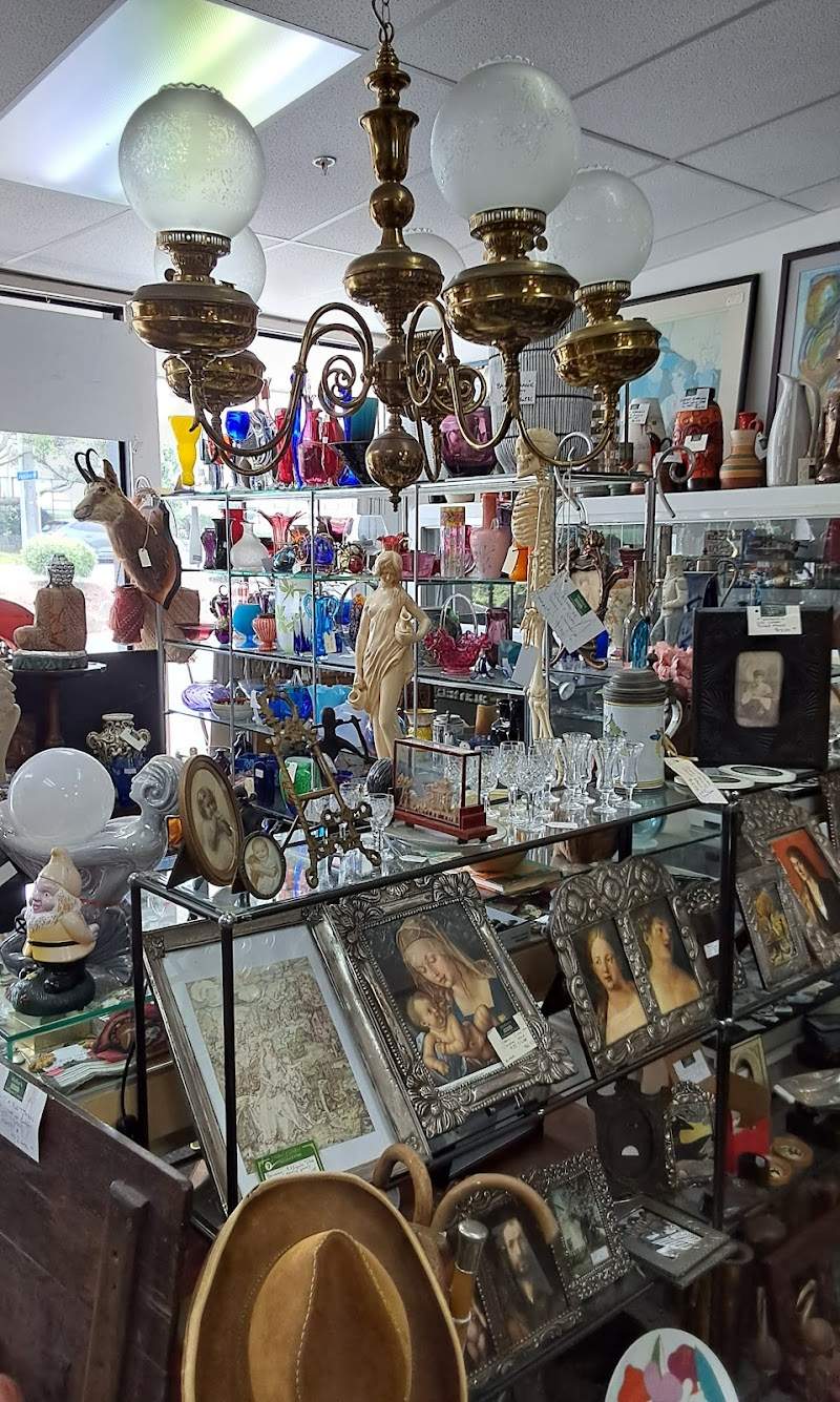 Check out Molloy's MEGA Antique Centre in Takapuna