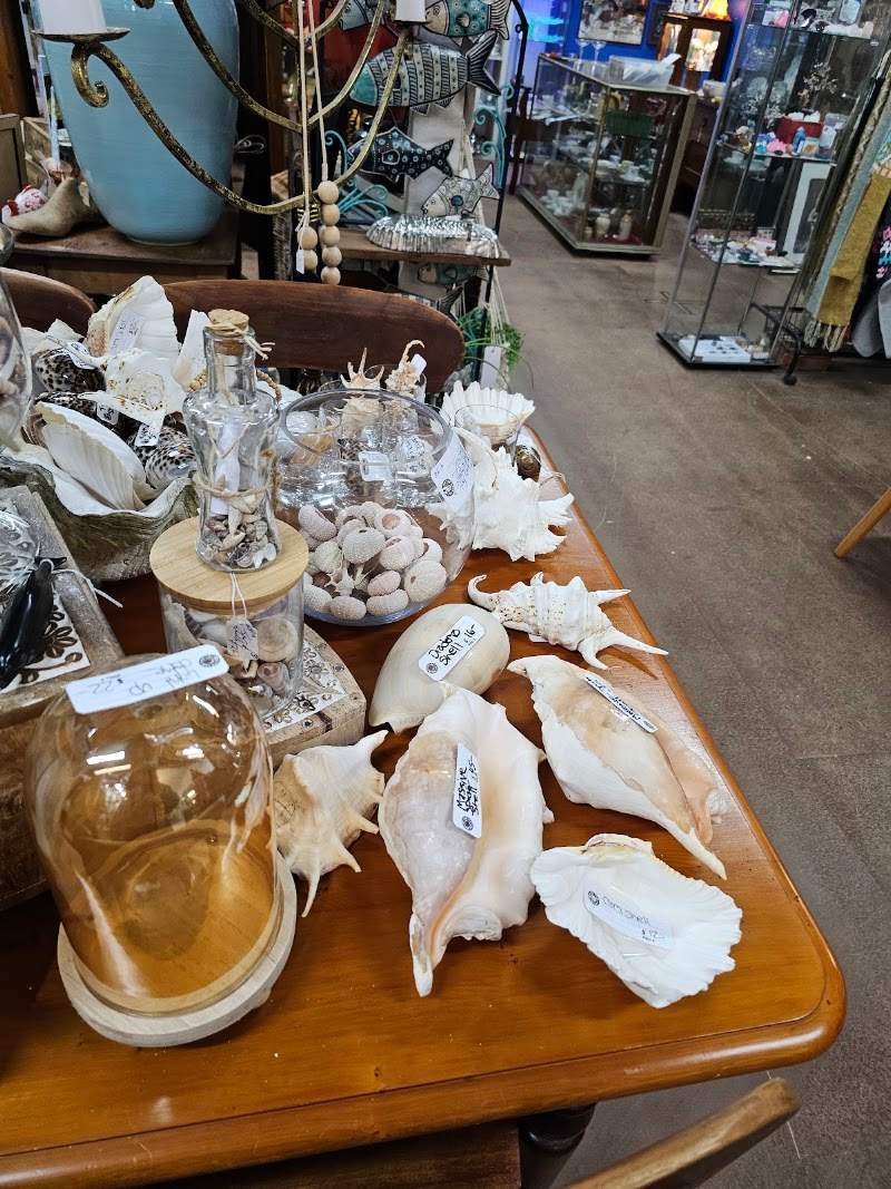Check out Cowes Bazaar and Gallery in Cowes