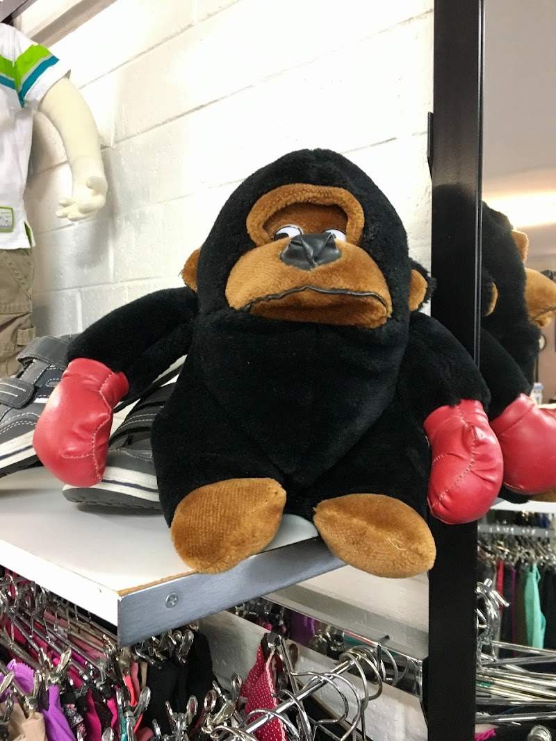 Check out Vinnies Willetton Shop in Willetton