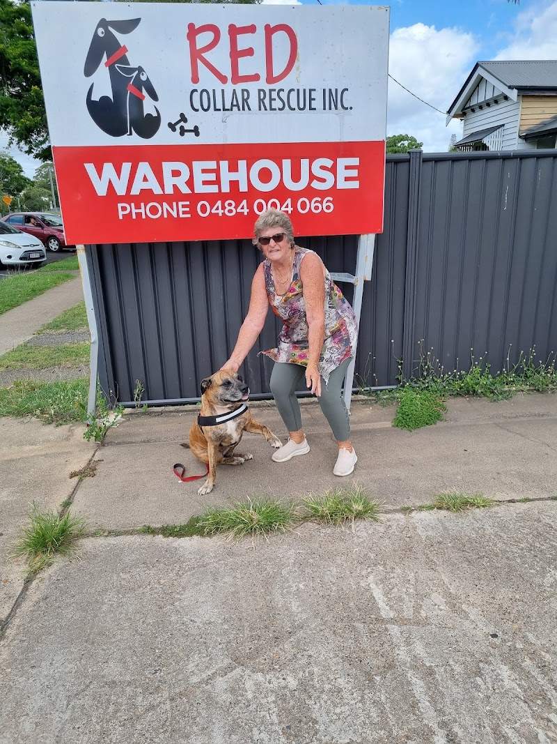 Check out Red Collar Rescue Bundaberg in Bundaberg