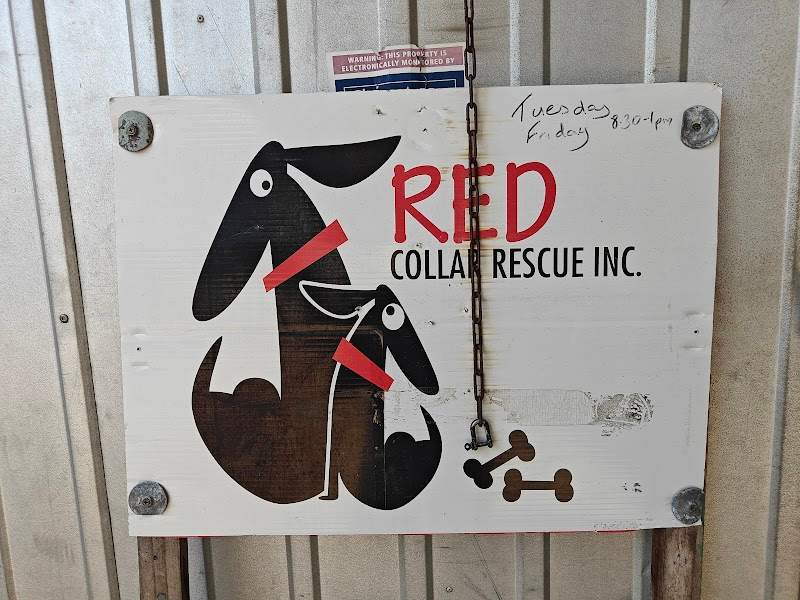 Check out Red Collar Rescue Bundaberg in Bundaberg