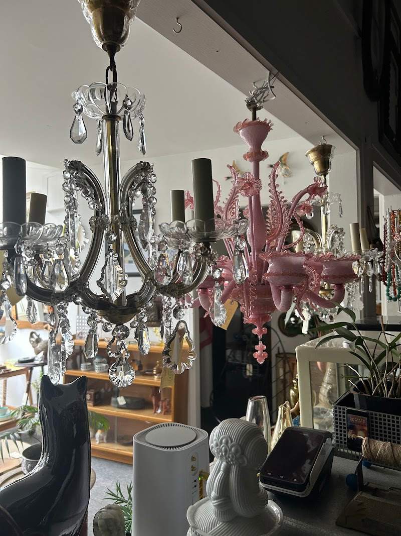 Check out Add+Vintage in Te Aro