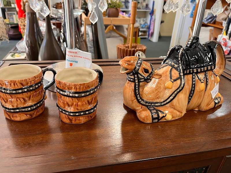 Check out Bloomhill Op Shop Mountain Creek in Brightwater