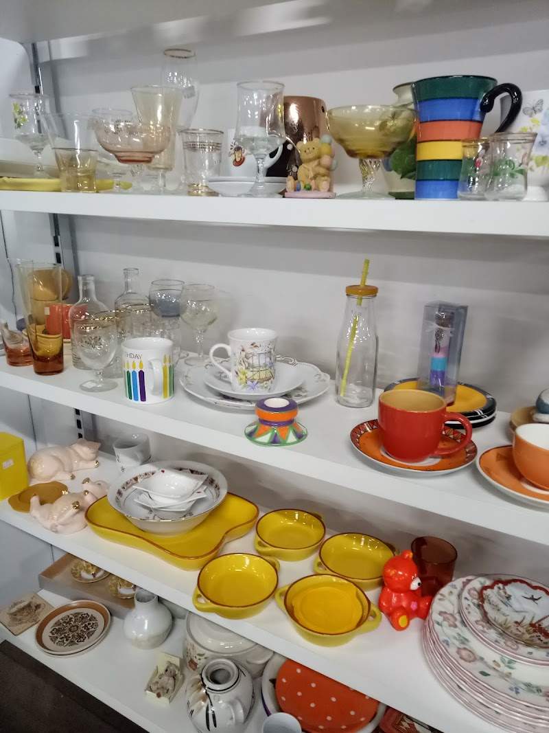 Check out Salvos Stores Newstead in NEWSTEAD
