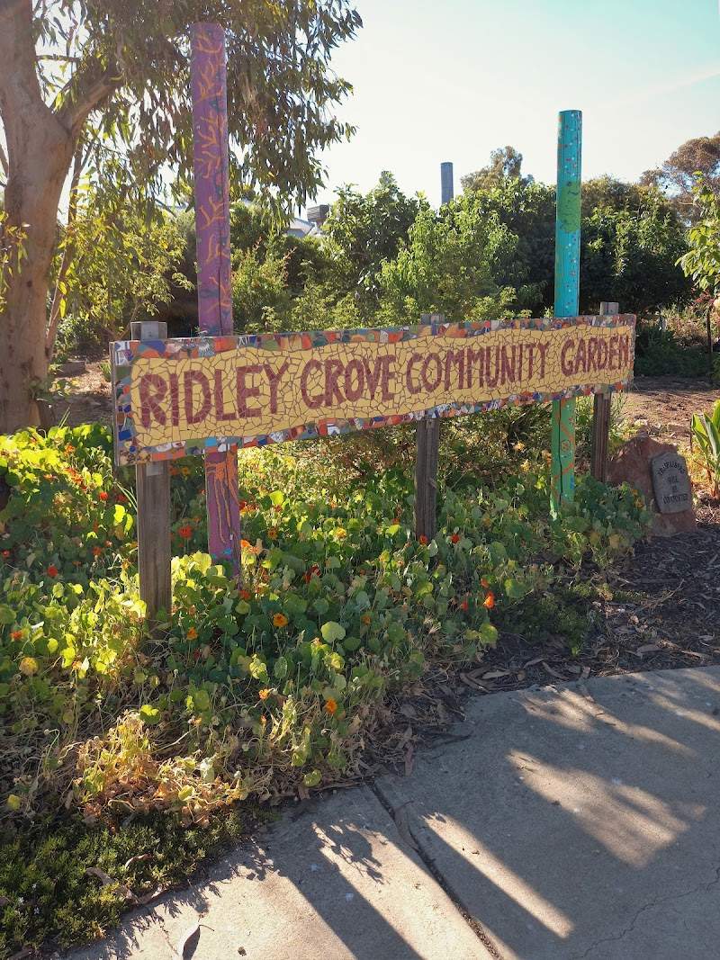 Check out The Grove Op Shop Woodville Gardens in Woodville Gardens