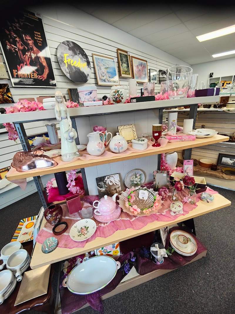 Check out Waipuna Hospice Shop Mount Maunganui in Mount Maunganui