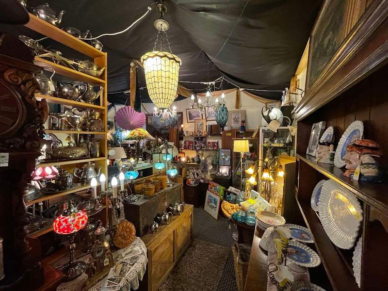 Check out Just Plane Interesting Antiques and Collectables in Oratia