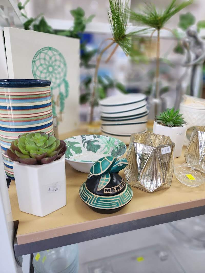 Check out Vinnies Palm Beach in Palm Beach