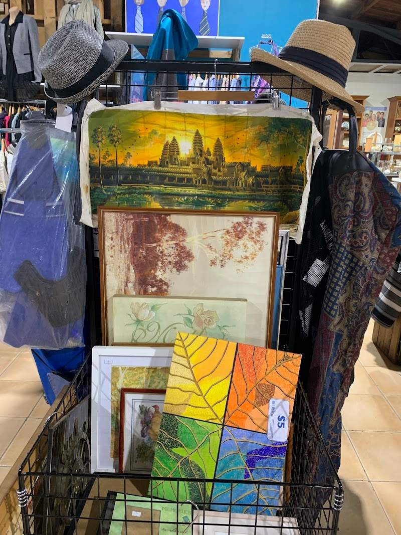 Check out Lifeline Shop Woy Woy in Woy Woy