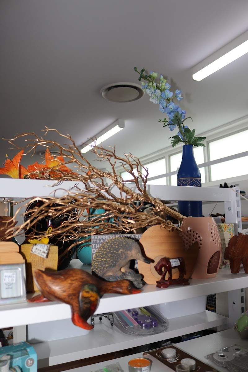 Check out Lifeline Shop Taringa in Taringa