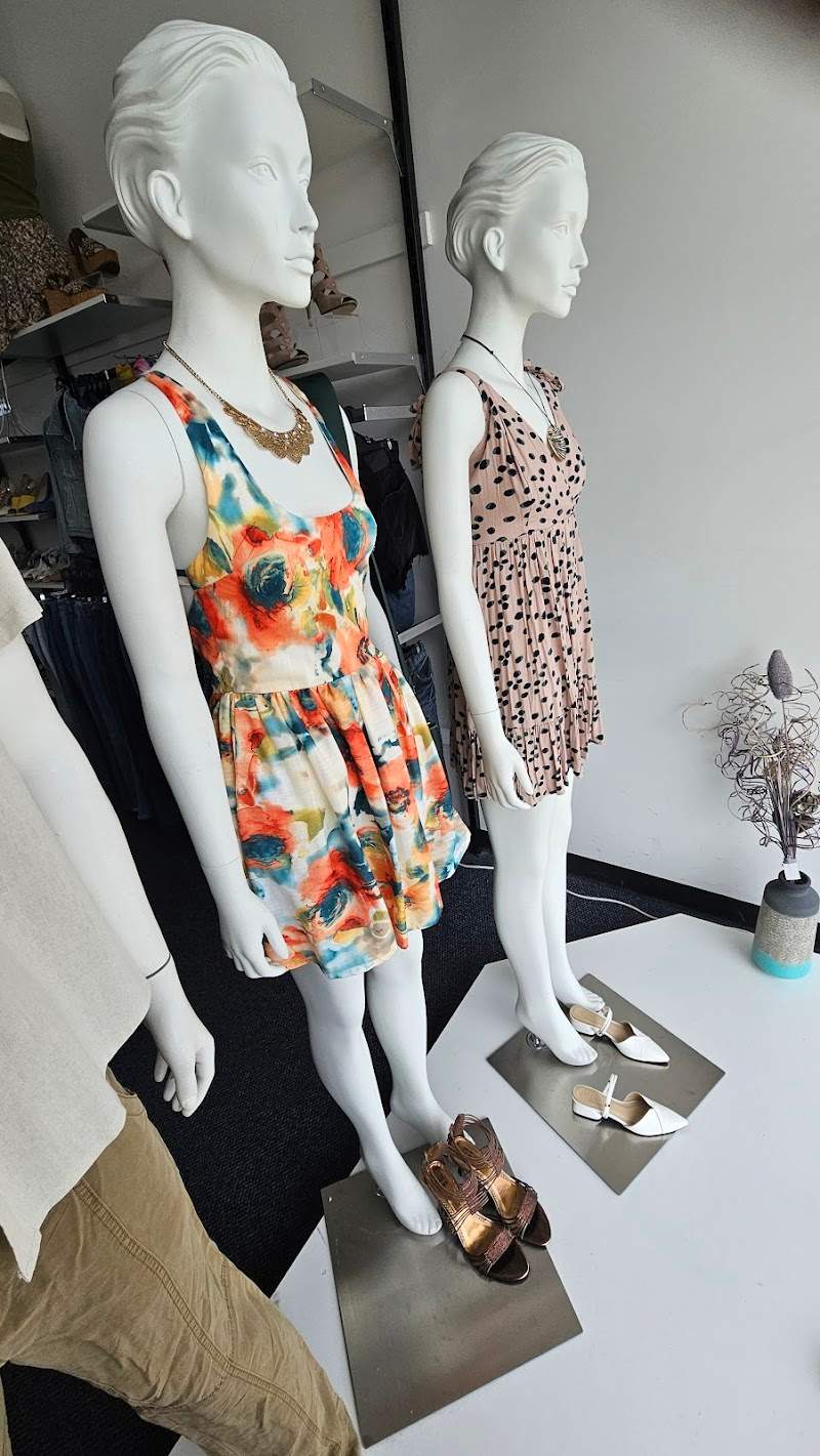 Check out Vinnies Belmont Shop in Belmont