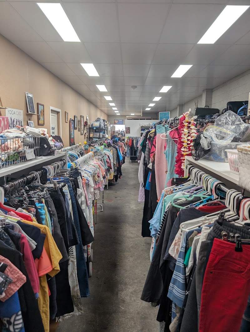 Check out Ten Lives Op Shop North Hobart in North Hobart