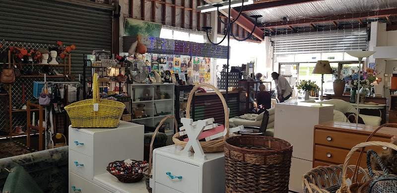 Check out The Hospice Shop – New Lynn in New Lynn