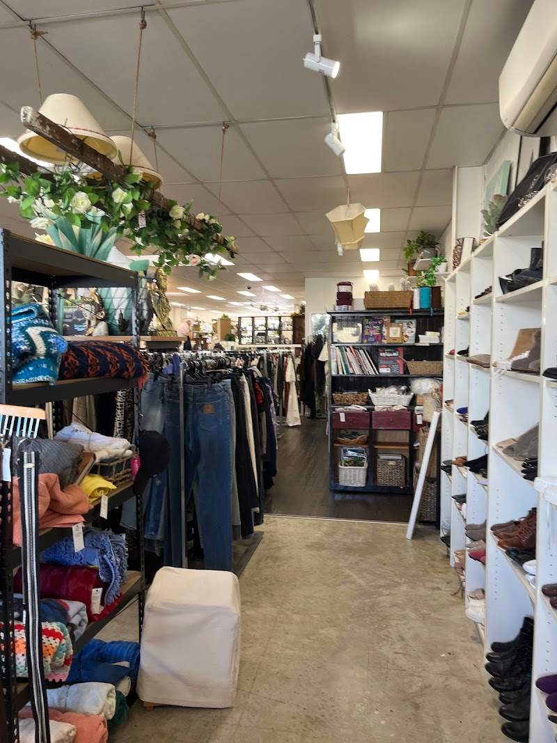 Check out Lifeline Shop Waitara in Waitara, Sydney