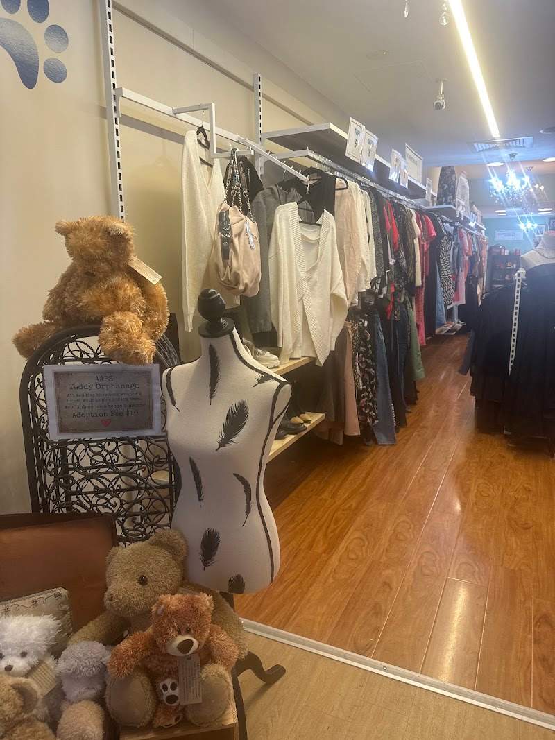 Check out AAPS Op Shop Hampton in Hampton