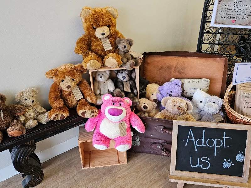 Check out AAPS Op Shop Hampton in Hampton