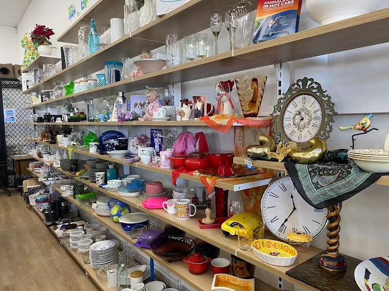 Check out RSPCA Op Shop Townsville in West End