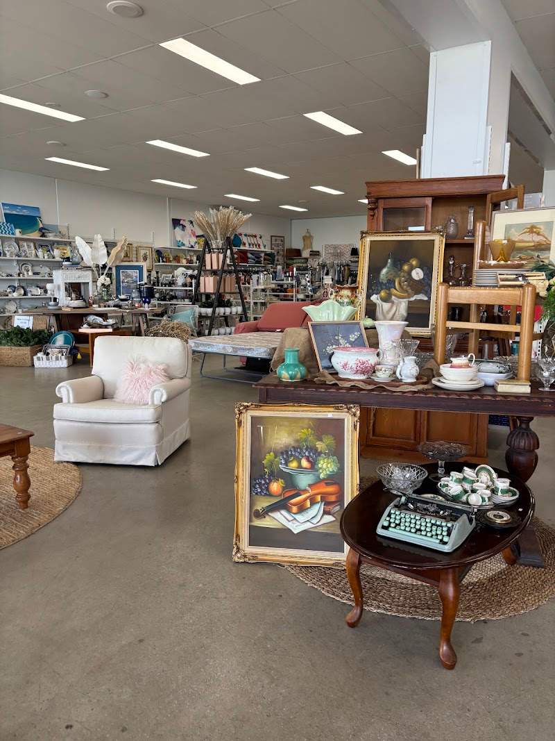 Check out Salvos Stores Hastings in HASTINGS