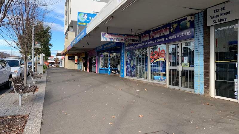 Check out Mega Cash - St Marys in St Marys